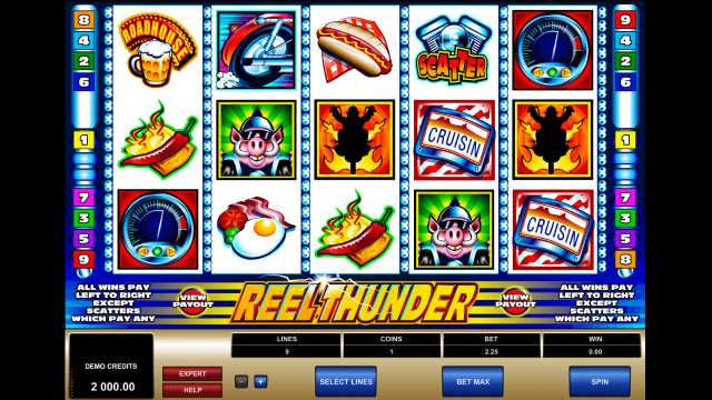 Игровой интерфейс Reel Thunder 1
